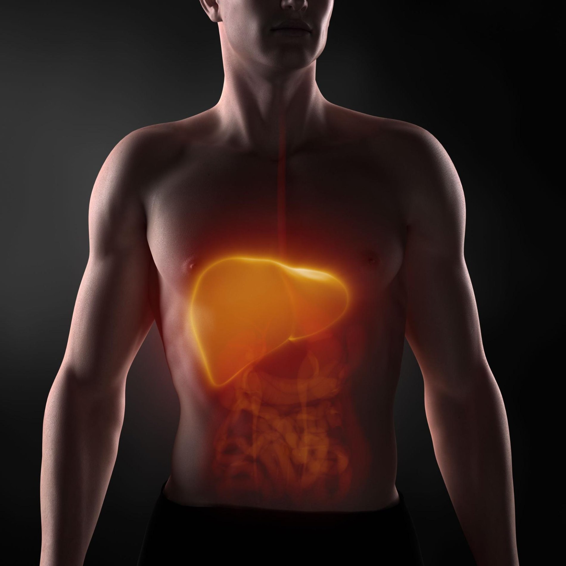 1 out of 3 people will develop this disease-image